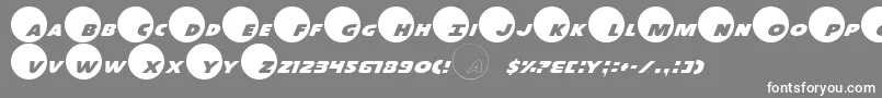 Dot.Com Font – White Fonts on Gray Background