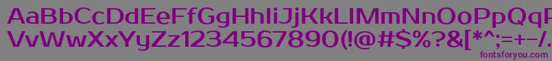 ProstoOne Font – Purple Fonts on Gray Background