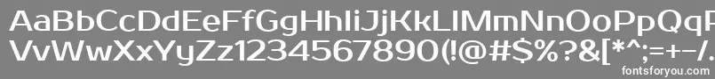 フォントProstoOne – 灰色の背景に白い文字