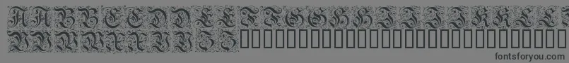 FeinsliebchenBarock-Schriftart – Schwarze Schriften auf grauem Hintergrund