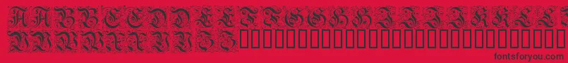 FeinsliebchenBarock Font – Black Fonts on Red Background