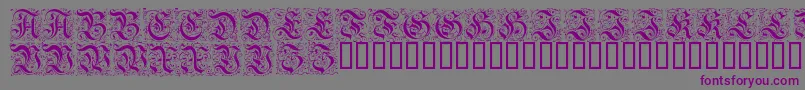 FeinsliebchenBarock Font – Purple Fonts on Gray Background