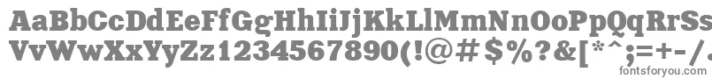 フォントXna85C – 白い背景に灰色の文字