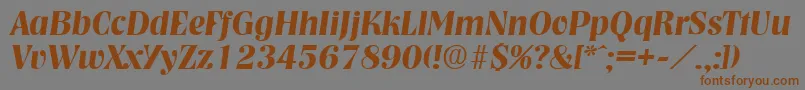 NashvilleDemiboldita Font – Brown Fonts on Gray Background