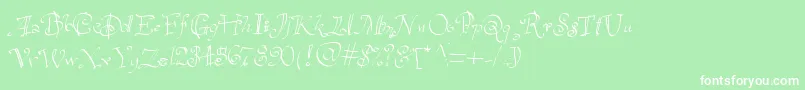 Havelseen Font – White Fonts on Green Background