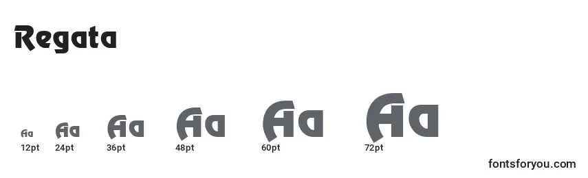 Размеры шрифта Regata