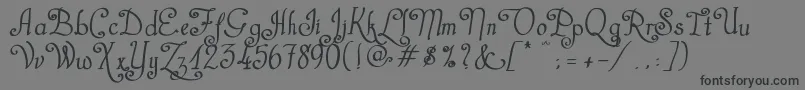 CastalStreetBold Font – Black Fonts on Gray Background