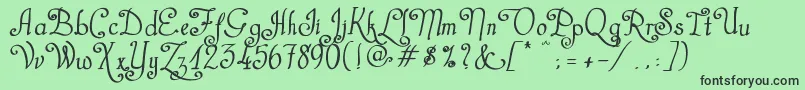CastalStreetBold Font – Black Fonts on Green Background