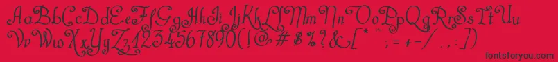 CastalStreetBold Font – Black Fonts on Red Background