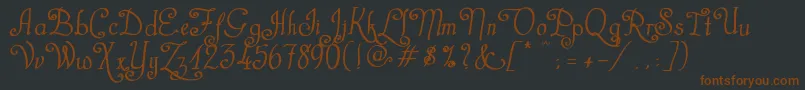 CastalStreetBold Font – Brown Fonts on Black Background