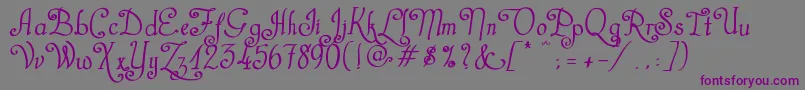 CastalStreetBold Font – Purple Fonts on Gray Background