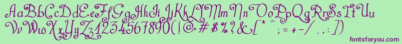 CastalStreetBold Font – Purple Fonts on Green Background