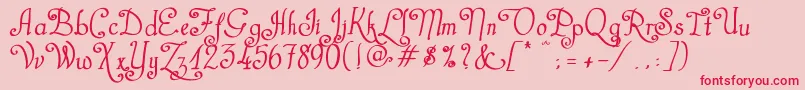 CastalStreetBold Font – Red Fonts on Pink Background