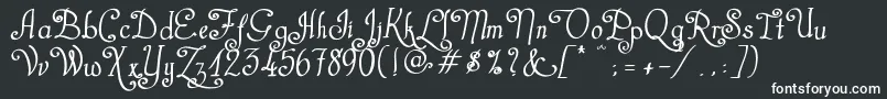 CastalStreetBold Font – White Fonts on Black Background