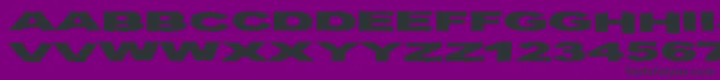 フォントBirdsRequiemSvart – 紫の背景に黒い文字