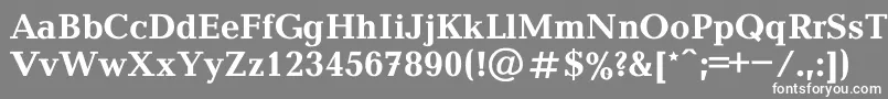 フォントBalticaBold – 灰色の背景に白い文字