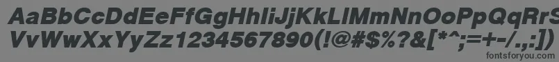 Шрифт CyrveticaExtraBoldOblique – чёрные шрифты на сером фоне