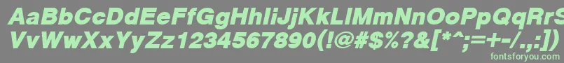 CyrveticaExtraBoldOblique Font – Green Fonts on Gray Background