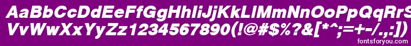 CyrveticaExtraBoldOblique Font – White Fonts on Purple Background