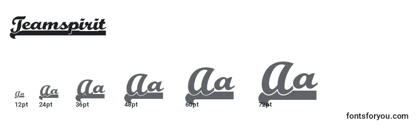Teamspirit Font Sizes