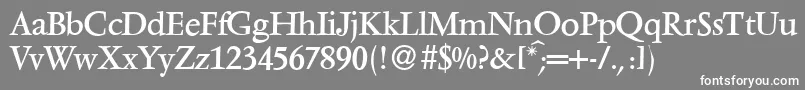 フォントV691RomanRegular – 灰色の背景に白い文字