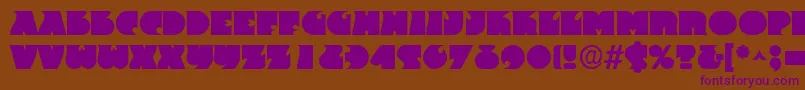 Frantbold Font – Purple Fonts on Brown Background