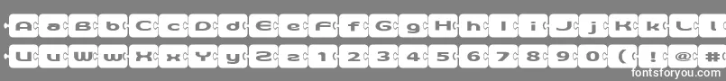 フォントD3Pazzlisma – 灰色の背景に白い文字