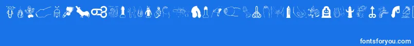 Penis Font – White Fonts on Blue Background