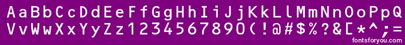 Ocrbstd Font – White Fonts on Purple Background