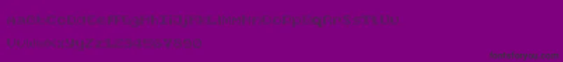 FoundReceiptDemo Font – Black Fonts on Purple Background