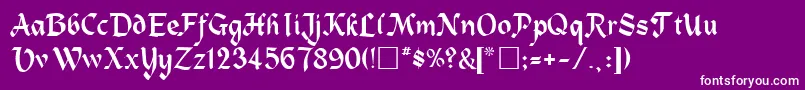 HeidelaRegular Font – White Fonts on Purple Background