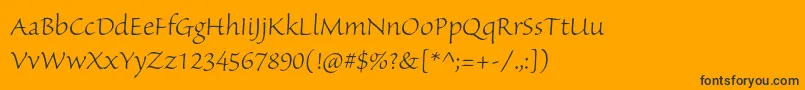 SanvitoproLtsubh Font – Black Fonts on Orange Background