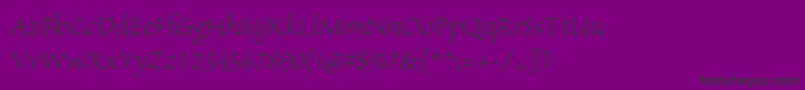 SanvitoproLtsubh Font – Black Fonts on Purple Background