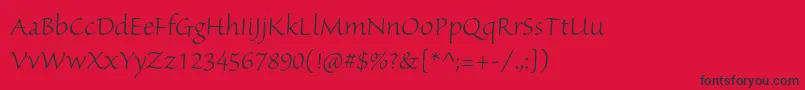 フォントSanvitoproLtsubh – 赤い背景に黒い文字