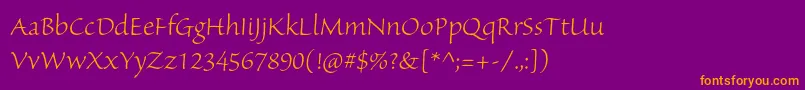 SanvitoproLtsubh Font – Orange Fonts on Purple Background