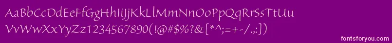 SanvitoproLtsubh Font – Pink Fonts on Purple Background