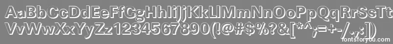 LinearshXboldRegular Font – White Fonts on Gray Background