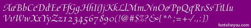 Mediciscriptltstd Font – White Fonts on Purple Background