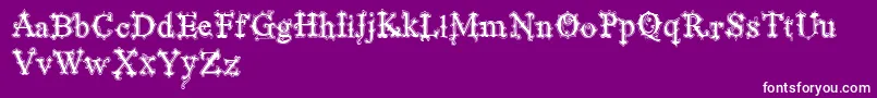 VtksBlackLabelNormalFilete Font – White Fonts on Purple Background