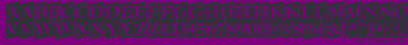 Czcionka AAntiquettltrdcmup – czarne czcionki na fioletowym tle