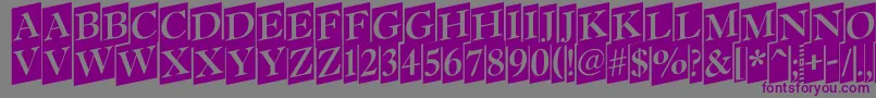 AAntiquettltrdcmup Font – Purple Fonts on Gray Background