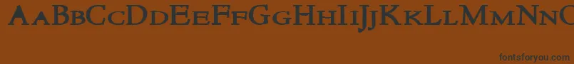 NewstylesmallcapsBold Font – Black Fonts on Brown Background