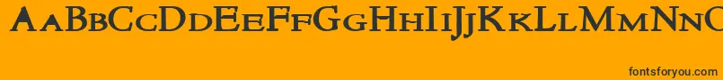 NewstylesmallcapsBold Font – Black Fonts on Orange Background