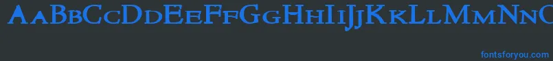 NewstylesmallcapsBold Font – Blue Fonts on Black Background