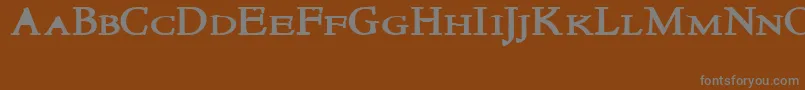 NewstylesmallcapsBold Font – Gray Fonts on Brown Background