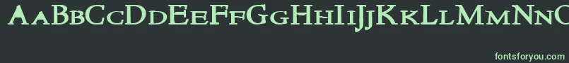 NewstylesmallcapsBold Font – Green Fonts on Black Background