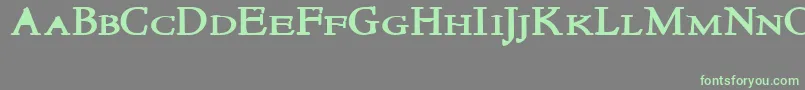 NewstylesmallcapsBold Font – Green Fonts on Gray Background