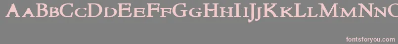 NewstylesmallcapsBold Font – Pink Fonts on Gray Background