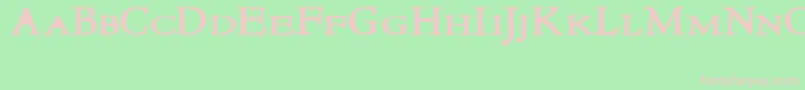 NewstylesmallcapsBold Font – Pink Fonts on Green Background