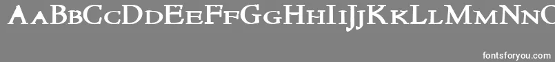NewstylesmallcapsBold Font – White Fonts on Gray Background